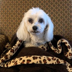 Meet your Posher, Katy